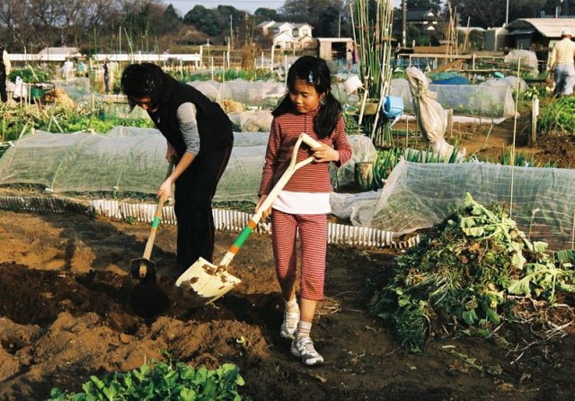 W Japonii, ogrody są wykorzystywane przez cały rok. Zimą rośnie cebula, por, peluszka, kapusta pekińska etc. W zimnym styczniu i lutym trwają przygotowania do siania roślin w marcu.